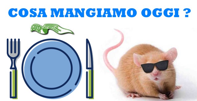 MENSA CHIUSA COISP