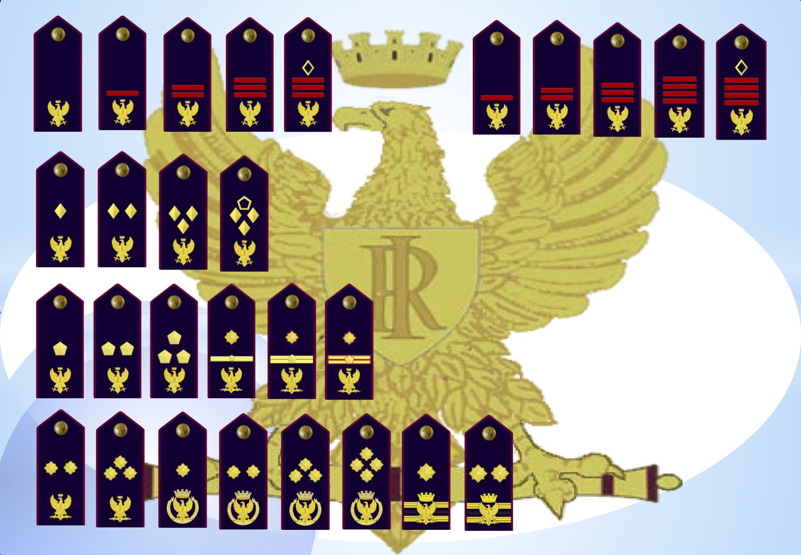 distintivi di qualifica POLIZIA DI STATO