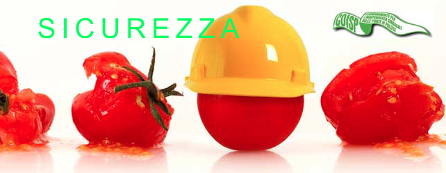 sicurezza coisp